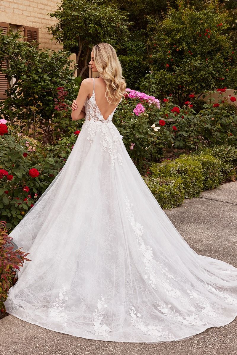 Charlotte Gown