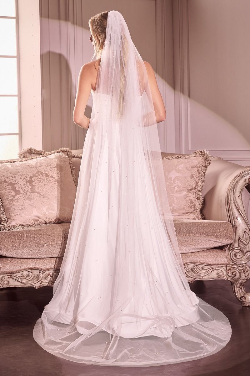 Pearl Drops Chapel Length Veil